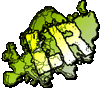 -THE EUROPE CREW- -THE EUROPE CREW-